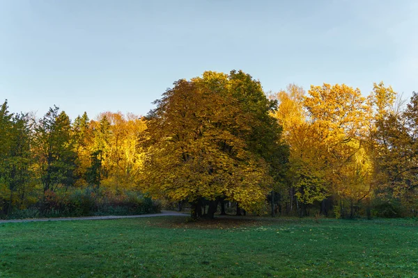 Fall i parken — Stockfoto