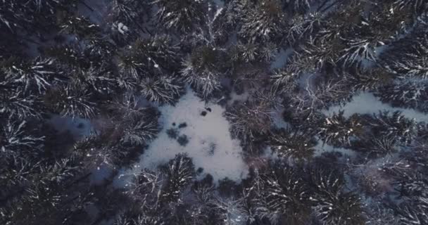 Un homme couché dans la neige, aérien — Video