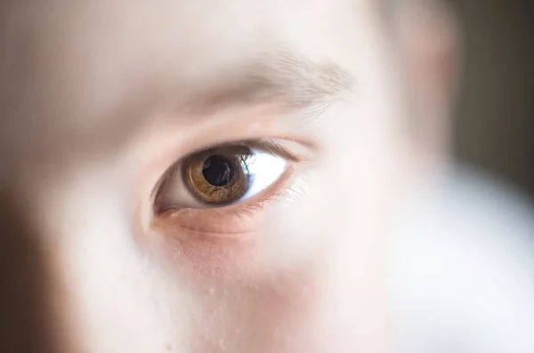 Close up to the pupil brown eye of a little boy.