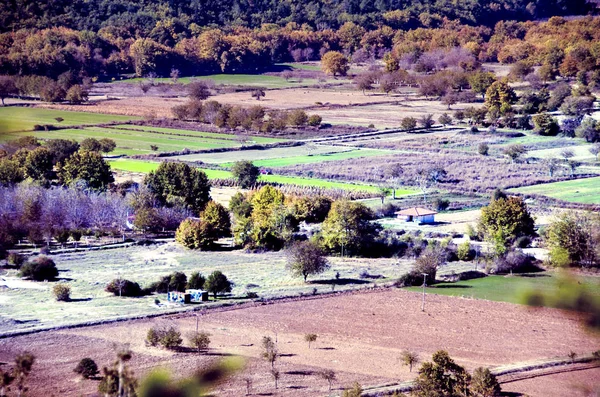 Letecký Pohled Farmě Polí Stromů Některé Statky Hepirus Oblasti Řecko — Stock fotografie