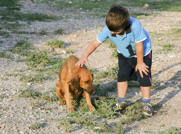 Boy met a homeless afraid dog at the park.