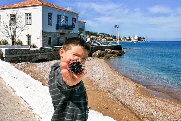 Boy Sea Urchin His Hand Seaside Spetses Island Greece — Stock Photo, Image