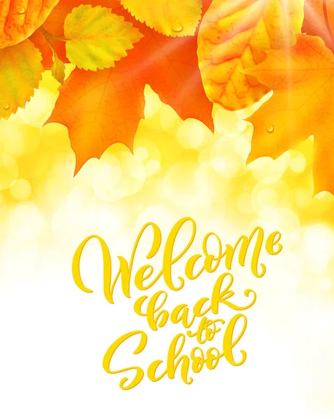 Welcome back to school handdrawn lettering. Vector illustration. — Stock Vector