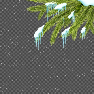 Border with relistic firtree, snow and icicles over transparent background. Winter snowfall. clipart