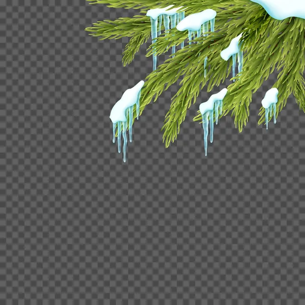 Határ relistic firtree, hó és jég fölött átlátszó háttér. — Stock Vector