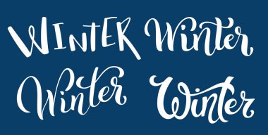 Kış yazı handdrawn kaligrafi kümesi. Tasarım şablonu. Vektör