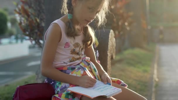 Dziewczyna pisze w Notatniku i studiuje grający mniszek młodość. — Wideo stockowe