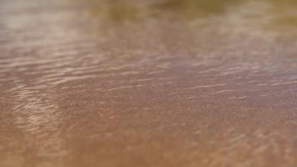 Тропический пляж с желтым песком и волнами — стоковое видео