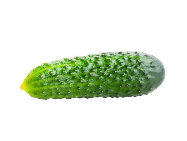 Green cucumber. Vegetable isolated over white background. — Stock Photo, Image