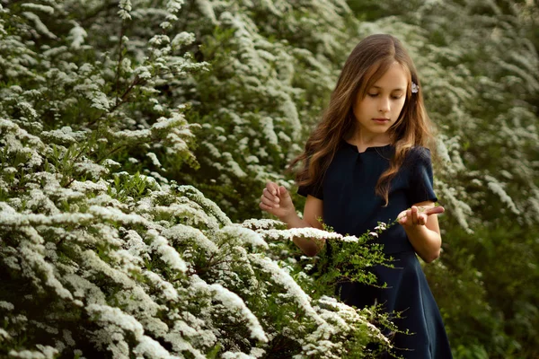 Linda niña cerca de hermosos arbustos de floración blanca —  Fotos de Stock