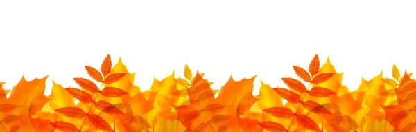 Seamless border with autumn leaves — Stock Vector