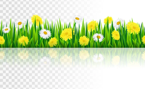 Bordure sans couture avec herbe et fleurs — Image vectorielle