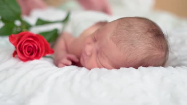 Γλυκό νεογέννητο μωρό κοιμάται σε ένα όνειρο — Αρχείο Βίντεο