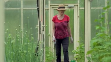 Serada yürüyen çiftçi. Bahçedeki fidelerle ilgilen..