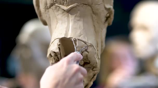 Mujer escultora trabajando en una escultura de una cabeza humana. — Vídeos de Stock