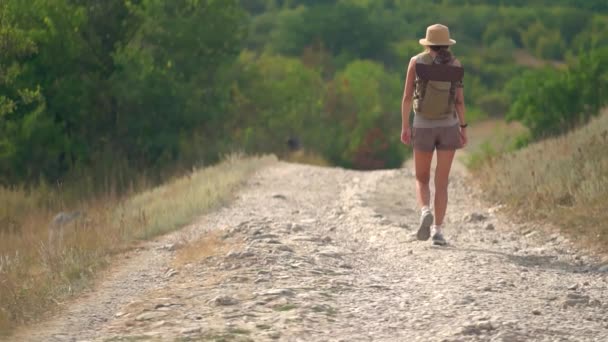 Mulher com mochila a andar sozinha na estrada nas montanhas. Viagens estilo de vida conceito aventura férias de verão ao ar livre — Vídeo de Stock