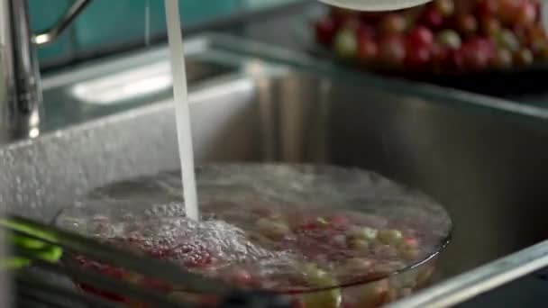A woman washes berries in a colander. White and red currants. Close up view — Stock Video