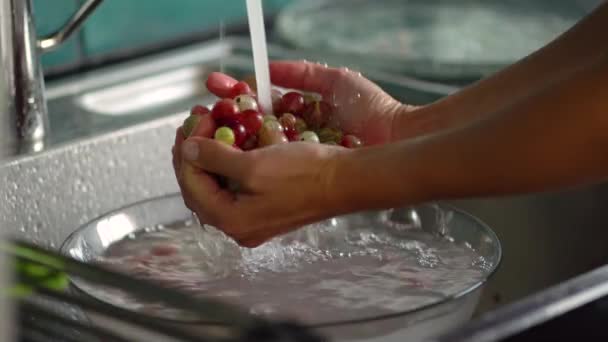 A woman washes berries in a colander. White and red currants. Close up view — Stock Video