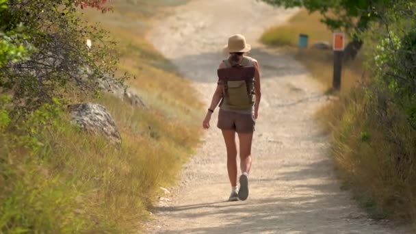 Женщина с рюкзаком уходит одна на дороге в горы. Летний отдых на свежем воздухе — стоковое видео