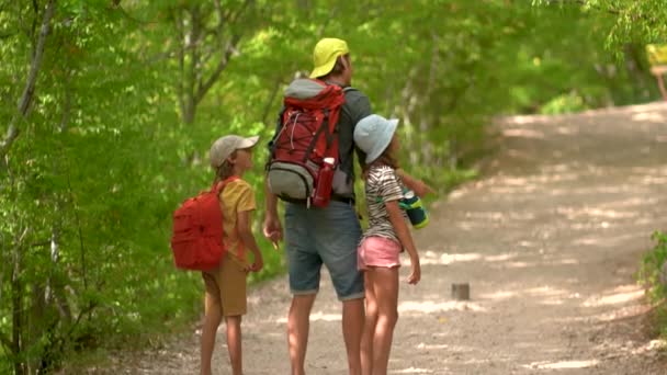 Homem com mochila andando com menino e menina na estrada nas montanhas. Viagem estilo de vida conceito aventura férias de verão ao ar livre. Caminhadas em família felizes no campo — Vídeo de Stock