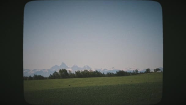 Kör Genom Gröna Ängarna Wyoming Usa Med Grand Teton Peak — Stockvideo