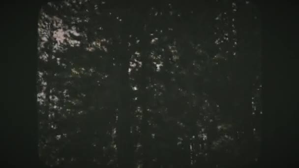 开车穿过美国怀俄明州黄石公园的绿色森林 从车窗往外看 Vintage电影 — 图库视频影像