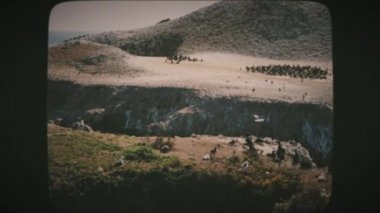 Point Lobos State Doğal Rezervi 'ndeki Bird Island manzarası, Kaliforniya, ABD. Klasik Film Görünümü. 