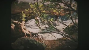 Yosemite Vadisi Ulusal Parkı 'ndaki Yosemite Creek nehri akıntıya kapılmış. Klasik Film Görünümü. 