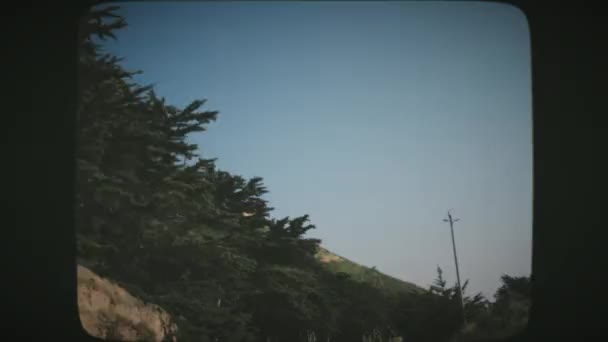 Pov Driving Line Cypress Trees Big Sur Area California Usa — 图库视频影像