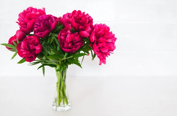 Pivoines rouges en vase sur fond blanc — Photo