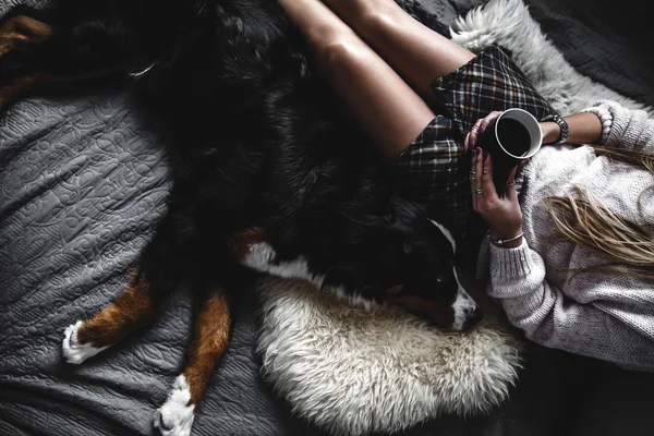 Menina bonita deitado e seu cão bonito Bernese Mountain Dog na cama, elegante, na moda, aconchegante — Fotografia de Stock