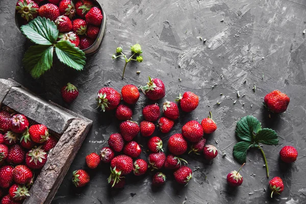 Läckra jordgubbar på en mörkgrå bakgrund i en Vintage krans. Hälsosam mat, frukt — Stockfoto