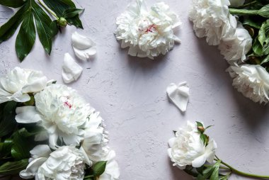 Kopya alanı metin üstten görünüm ve düz yatıyordu tarzı ile güzel şakayık çiçekleri.