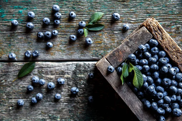 Freshly picked blueberries are in a wooden box — Stock Photo, Image