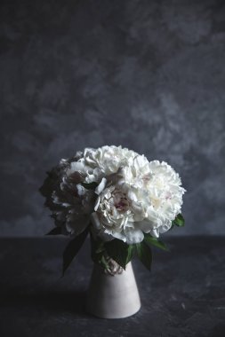 Güzel peonies gri beton zemin üzerine. Düğün, Doğum günü, Sevgililer günü, hediye veya kadın gün kavramı