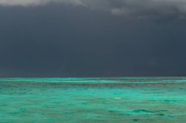 Tanzanya, Zanzibar 'daki güzel turkuaz plajı