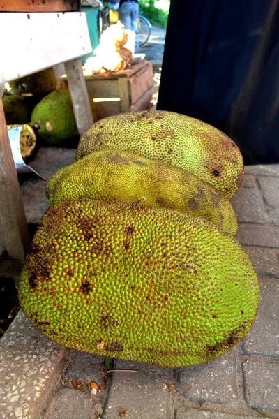 Tropical fruit of jack fruit, Zanizbar