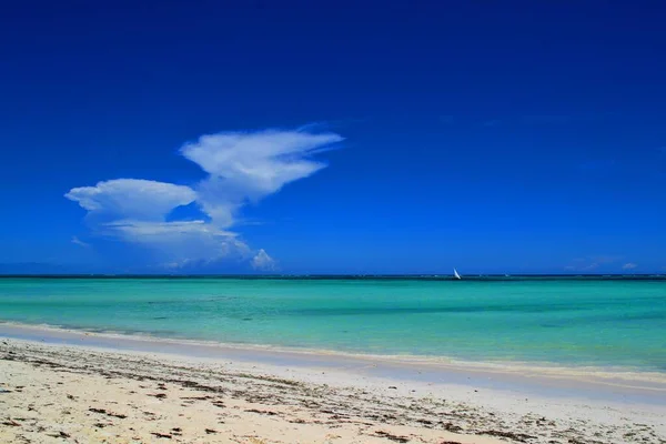 Vacker Turkos Strand Zanzibar Tanzania — Stockfoto