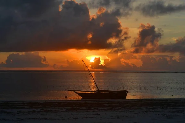 Tanzanya Zanzibar Güzel Bir Sahil — Stok fotoğraf