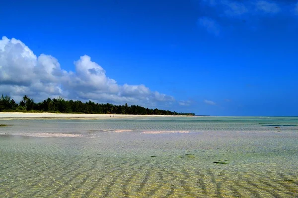 Schöner Tropischer Strand Sansibar Tansania — Stockfoto