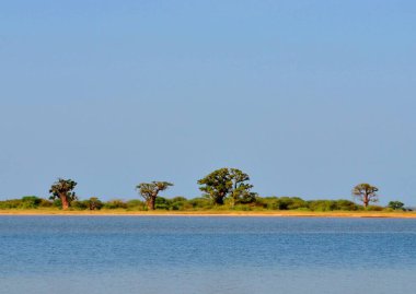 Les Collines de Niassam, Sine-Saloum Delta, Senegal