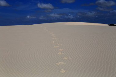 Lencois Maranhenses, Maranhao, Brezilya milli parkındaki turkuaz göller ve beyaz kum tepelerinin güzel manzarası