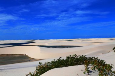 Lencois Maranhenses, Maranhao, Brezilya milli parkındaki turkuaz göller ve beyaz kum tepelerinin güzel manzarası