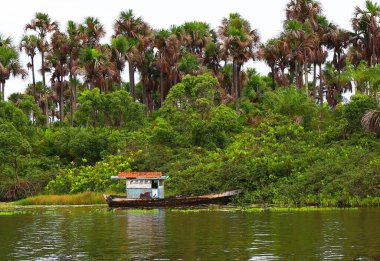 Brezilya 'nın kuzeyinde sakin bir nehir, Preguicas nehri, Barreirinhas