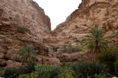 Wadi Tiwi 'de dramatik kanyonlar, Umman.