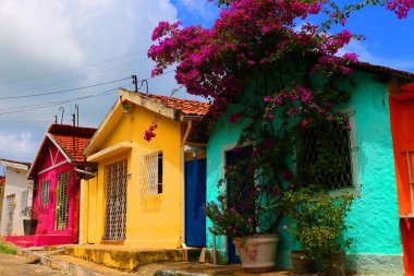 Olinda, Pernambuco, Brezilya 'da renkli evler