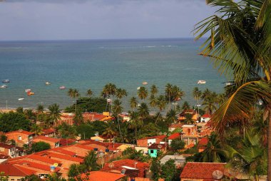 Tropik sahil kasabası Maragogi, Pernambuco, Brezilya