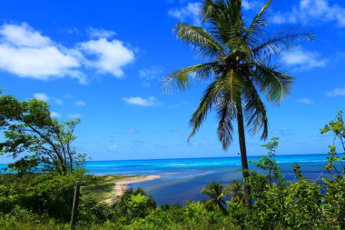 Güzel kıyı köyü Japaratinga, Alagoas, Brezilya