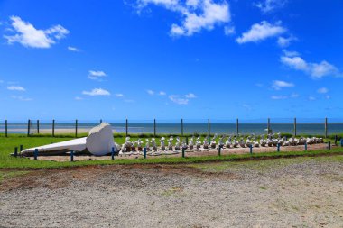 Büyük balina kemikleri, Ilha de Itamaraca, Pernambuco, Brezilya