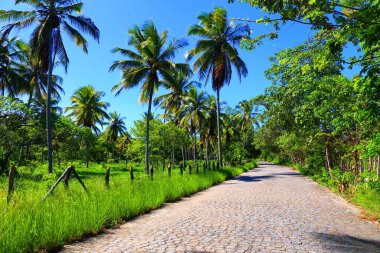 Vila Velha, Ilha de Itamaraca, Pernambuco, Brezilya